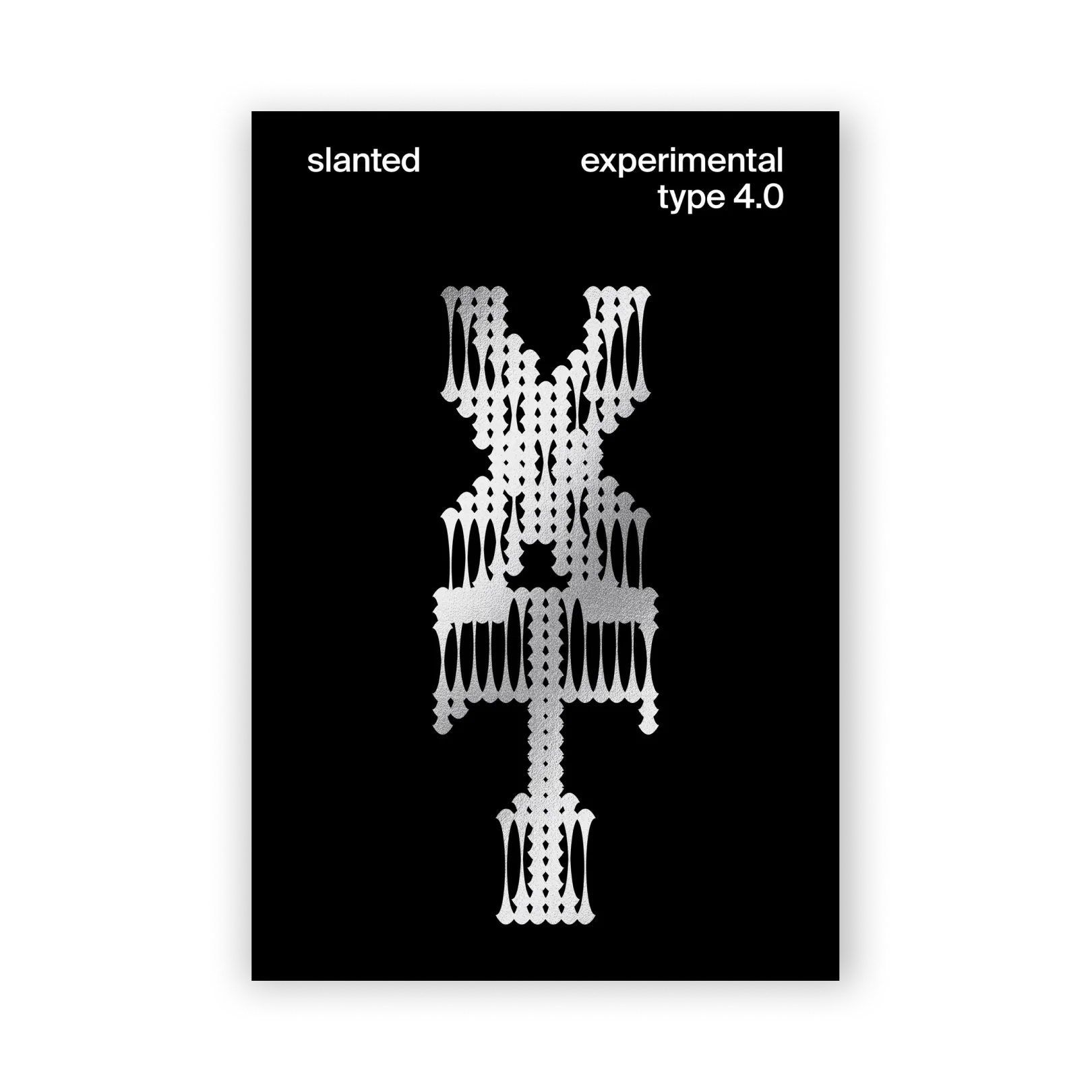 Pubblicazione Poster “What is gravity?” | Slanted Experimental Type 4.0 | Germania